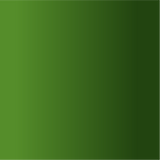 The Official Top Frog® - Green Back
